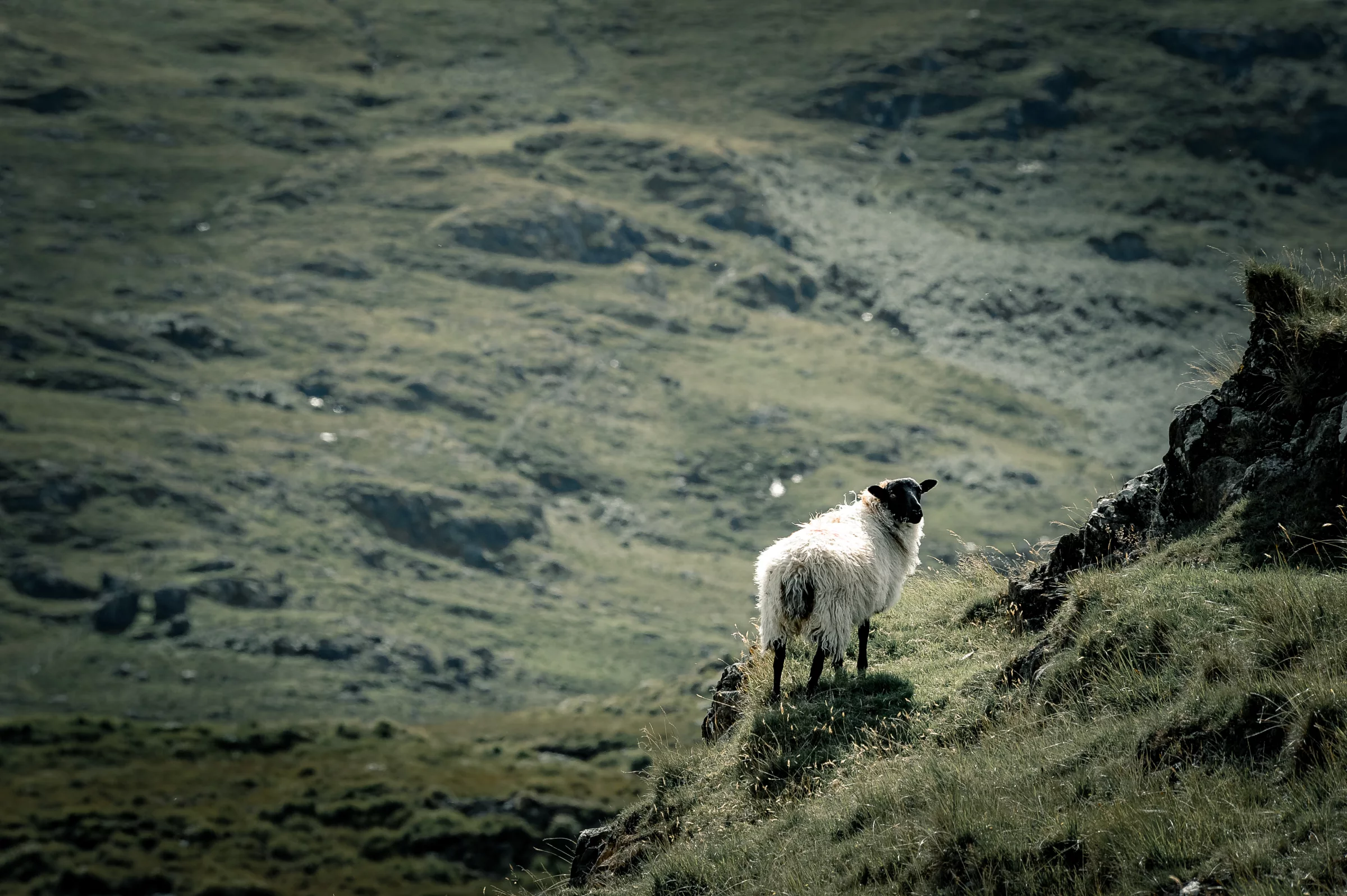 Photo - GPL - Irish stroll